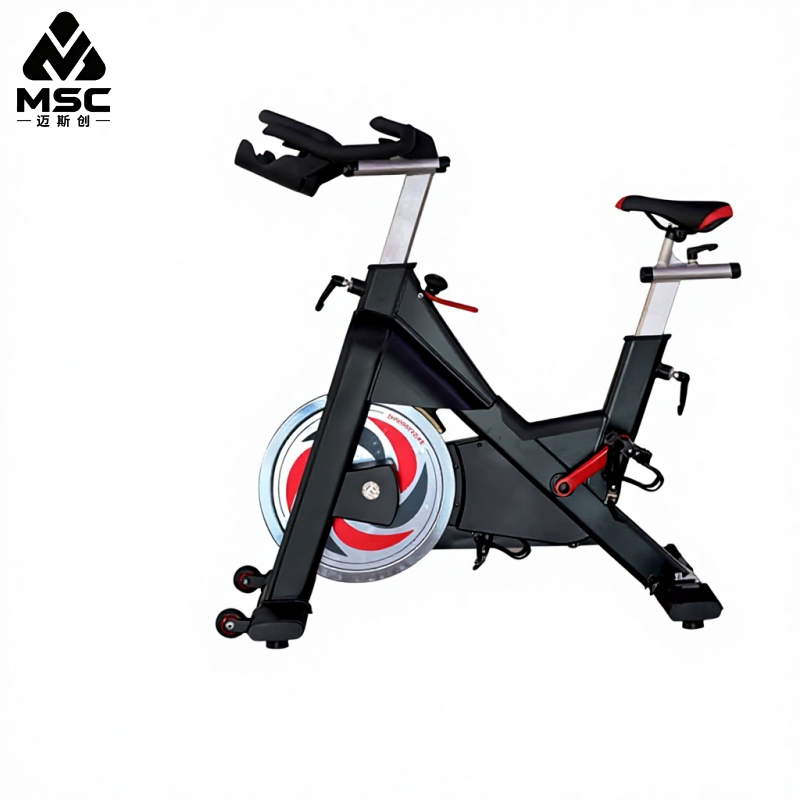 Home Gym Bike - Magnetic Control Smart Gym Cycle Exercise