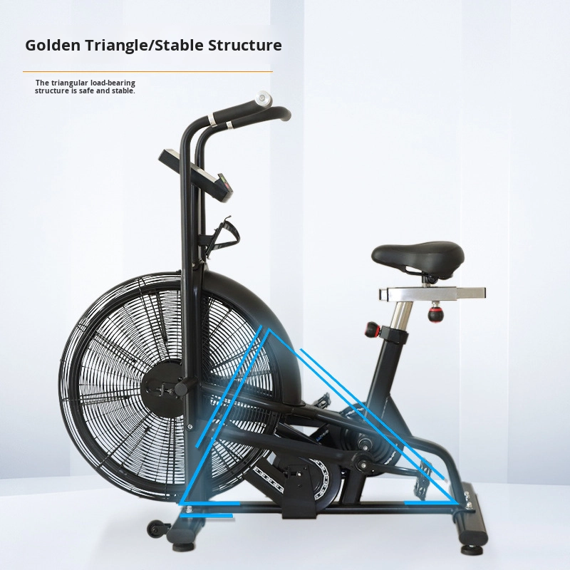 Commercial Wind Resistance Aer - Home Gym Bike avaliação e preço
