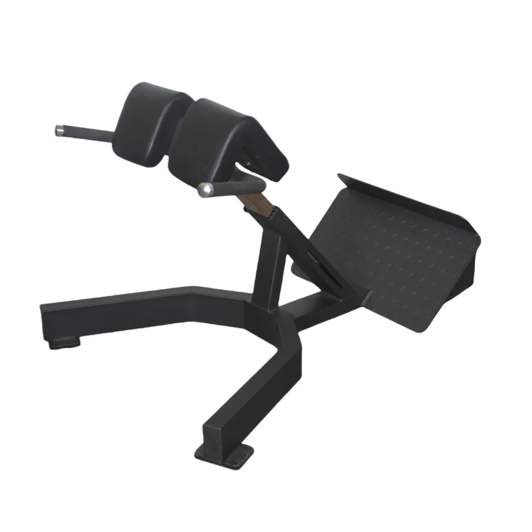 Factory Price Roman Chair Back - Home Gym Price avaliação e preço